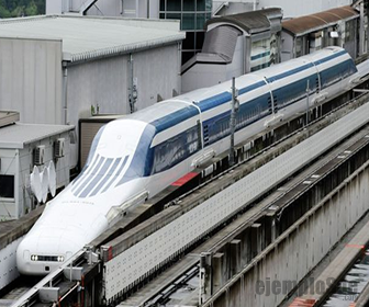 Tren sobre una vía elevada