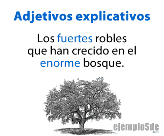 Robles con los adjetivos fuertes y enorme en una descripción breve